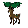 Dark Sawsbuck (Summer)